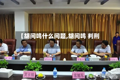 【胡问鸣什么问题,胡问鸣 判刑】-第3张图片