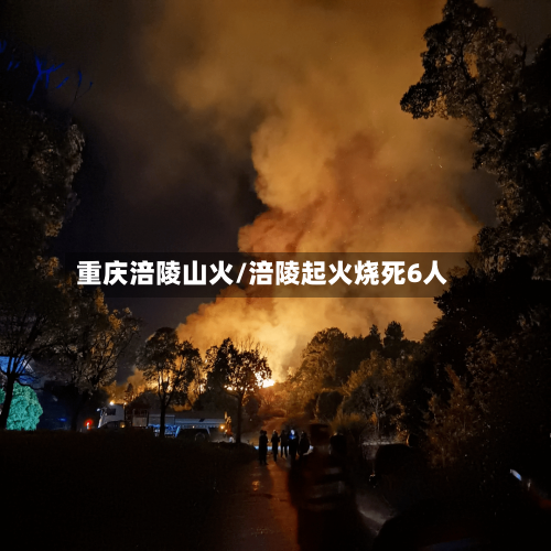 重庆涪陵山火/涪陵起火烧死6人