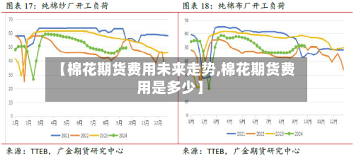 【棉花期货费用未来走势,棉花期货费用是多少】-第2张图片