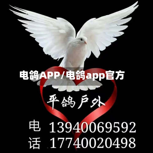 电鸽APP/电鸽app官方-第2张图片