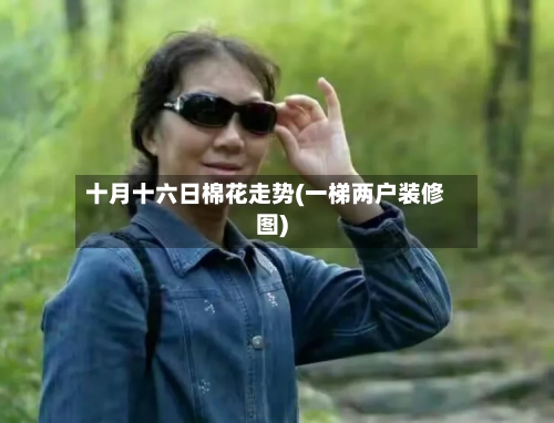 十月十六日棉花走势(一梯两户装修图)