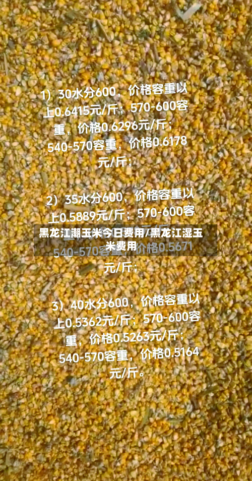 黑龙江潮玉米今日费用/黑龙江湿玉米费用-第3张图片