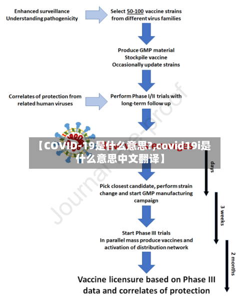 【COVID-19是什么意思?,covid19i是什么意思中文翻译】