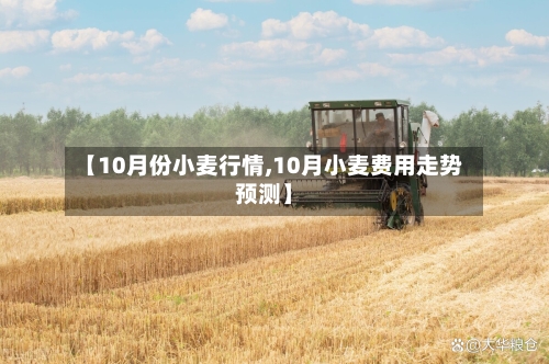 【10月份小麦行情,10月小麦费用走势预测】-第2张图片