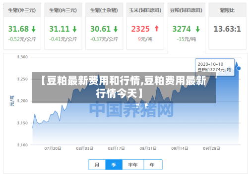 【豆粕最新费用和行情,豆粕费用最新行情今天】-第3张图片