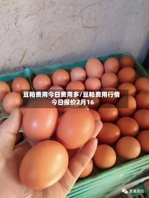 豆粕费用今日费用多/豆粕费用行情今日报价2月16