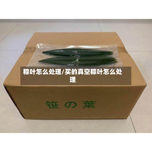 粽叶怎么处理/买的真空粽叶怎么处理-第3张图片