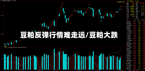 豆粕反弹行情难走远/豆粕大跌