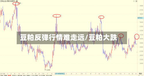 豆粕反弹行情难走远/豆粕大跌-第2张图片