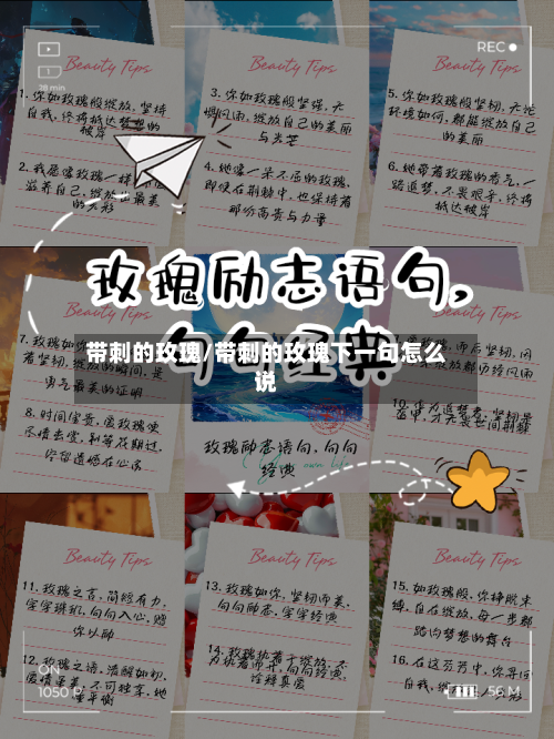 带刺的玫瑰/带刺的玫瑰下一句怎么说-第2张图片