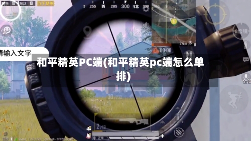 和平精英PC端(和平精英pc端怎么单排)-第2张图片