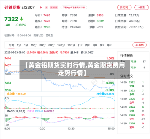 【黄金铅期货实时行情,黄金期货费用走势行情】-第2张图片